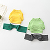 Dog Hoodie Solid Colored Basic Cute Casual / Daily Winter Dog Clothes Puppy Clothes Dog Outfits Breathable Yellow Green Costume for Girl and Boy Dog Cotton S M L XL XXL 3XL