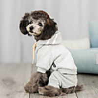 Dog Hoodie Solid Colored Casual / Sporty Fashion Casual / Daily Winter Dog Clothes Breathable Black Fuchsia Blue Costume Fleece S M L XL XXL