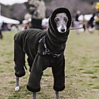 Dog Jacket Fleece Vest Solid Colored Classic Style Casual / Daily Outdoor Winter Dog Clothes Puppy Clothes Dog Outfits Breathable Black Red Green Costume for Girl and Boy Dog Cotton S M L XL XXL 3XL