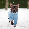 Dog Jacket Fleece Vest Solid Colored Classic Style Casual / Daily Outdoor Winter Dog Clothes Puppy Clothes Dog Outfits Breathable Light Green Blue Pink Costume for Girl and Boy Dog Cotton S M L XL