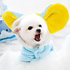 Dog Jumpsuit Pajamas Elephant Casual / Sporty Cute Casual / Daily Winter Dog Clothes Breathable Blue Costume Flannel Fabric XS S M L XL XXL