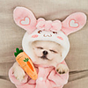 Dog Jumpsuit Pajamas Rabbit / Bunny Casual / Sporty Cute Casual / Daily Winter Dog Clothes Breathable Yellow Pink Costume Flannel Fabric XS S M L XL XXL