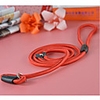 Dog Leash Adjustable / Retractable Nylon Red Blue