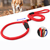 Dog Leash Solid Safety Classic Nylon Red Blue
