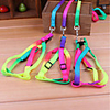 Dog Leash Walking Wearable Cute and Cuddly Safety Rainbow Polyester Rainbow