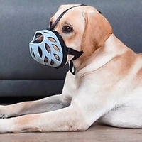 Dog Muzzle,  Breathable Basket Muzzles for Small,  Medium,  Large and X-Large Dogs,  Stop Biting,  Barking and Chewing,  Best for Aggressive Dogs miniinthebox