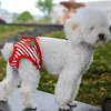 Dog Pants Fruit Stripes Dailywear Dog Clothes Puppy Clothes Dog Outfits Soft Red and White Costume for Girl and Boy Dog Cotton L XL miniinthebox