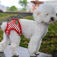 Dog Pants Fruit Stripes Dailywear Dog Clothes Puppy Clothes Dog Outfits Soft Red and White Costume for Girl and Boy Dog Cotton L XL miniinthebox