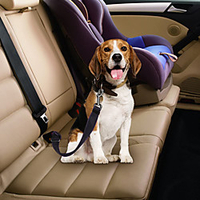 Dog Pets Car Seat Harness / Safety Harness Trainer Retractable Adjustable Size For Car Solid Colored Terylene Alloy Husky Labrador Alaskan Malamute Golden Retriever Dalmatian Border Collie Black Red miniinthebox