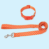 Dog Rabbits Cat Collar Leash Decoration Anti Lost Nylon Orange