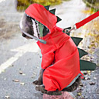 Dog Rain Coat Solid Colored Basic Casual / Daily Dog Clothes Puppy Clothes Dog Outfits Waterproof Yellow Red Costume for Girl and Boy Dog Waterproof Material S M L XL XXL