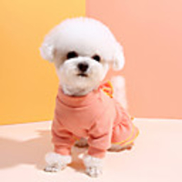 Dog Shirt / T-Shirt Dress Solid Colored Sweet Style Cute Casual / Daily Winter Dog Clothes Puppy Clothes Dog Outfits Breathable Blue Pink Costume for Girl and Boy Dog Cotton S M L XL XXL 3XL