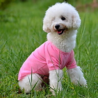 Dog Shirt / T-Shirt Puppy Clothes Solid Colored Simple Style Dog Clothes Puppy Clothes Dog Outfits Yellow Red Blue Costume for Girl and Boy Dog Cotton XS S M L XL