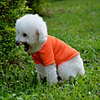 Dog Shirt / T-Shirt Solid Colored Casual / Daily Dog Clothes Yellow Red Blue Costume Baby Small Dog Cotton XS S M L XL