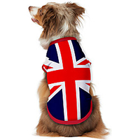 Dog Shirt / T-Shirt Vest Print Flag National Flag Fashion Cool Casual / Daily Outdoor Dog Clothes Puppy Clothes Dog Outfits Breathable Blue Costume for Girl and Boy Dog Polyster S M L XL