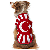 Dog Shirt / T-Shirt Vest Print Flag National Flag Fashion Cool Casual / Daily Outdoor Dog Clothes Puppy Clothes Dog Outfits Breathable Red Costume for Girl and Boy Dog Polyster S M L XL