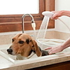 Dog Sprayer Rinser Sprinkler Shower Bath Accessories Full Body Silicone Baths Durable Pet Grooming Supplies White