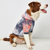 Dog Sweater Hoodie Color Block Fashion Casual / Daily Casual / Daily Outdoor Dog Clothes Puppy Clothes Dog Outfits Breathable Yellow Pink Green Costume for Girl and Boy Dog Polyester XS S M L XL