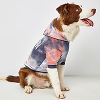Dog Sweater Hoodie Color Block Fashion Casual / Daily Casual / Daily Outdoor Dog Clothes Puppy Clothes Dog Outfits Breathable Yellow Pink Green Costume for Girl and Boy Dog Polyester XS S M L XL