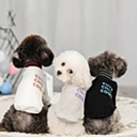 Dog Sweater Hoodie Solid Colored Casual / Sporty Fashion Casual / Daily Winter Dog Clothes Breathable White Black Gray Costume Cotton S M L XL XXL