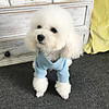 Dog Sweatshirt Fruit Casual / Sporty Cute Casual / Daily Winter Dog Clothes Breathable Yellow Blue Costume Cotton S M L XL XXL
