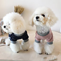 Dog Sweatshirt Jumpsuit Stripes Casual / Sporty Cute Casual / Daily Winter Dog Clothes Breathable Blue Pink Costume Cotton S M L XL XXL