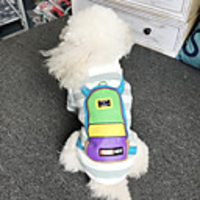 Dog Sweatshirt Stripes Casual / Sporty Cute Casual / Daily Winter Dog Clothes Breathable Pink Green Costume Cotton S M L XL XXL XXXL