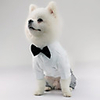 Dog Tuxedo T-shirts Solid Colored Birthday Casual / Daily Christmas Party Dog Clothes Breathable White Costume Cotton XS S M L XL XXL