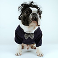 Dog Tuxedo T-shirts Solid Colored Casual / Daily Cute Christmas Party Dog Clothes Warm Blue Costume Plush S M L XL
