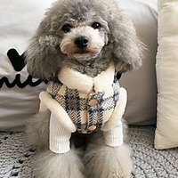 Dogs Autumn And Winter Can Be Led Thick Warm Cotton Clothing Puppy Clothes Dog Outfits 2 Costume For Girl And Boy Dog Cotton Fabric XXL miniinthebox