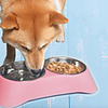 Dogs Cats Feeders 0.5 L Plastic Stainless steel Portable Easy to Install Lolita Blue Pink Bowls Feeding