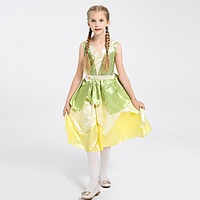 Dorothy Cosplay Costume Costume Vacation Dress Girls