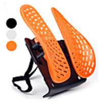 Double Ergonomic Spinal Shape Backcare Pad (Assorted Colors)