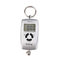 Double Precision Portable Electronic Weight Pocket Scale