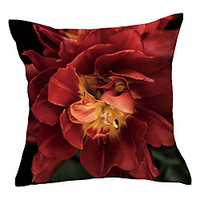 Double Side Cushion Cover 1PC Soft Decorative Square Throw Pillow Cover Cushion Case Pillowcase for Sofa Bedroom Superior Quality Machine Washable miniinthebox