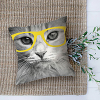 Double Side Cushion Cover 1PC Soft Decorative Square Throw Pillow Cover Cushion Case Pillowcase for Sofa Bedroom Superior Quality Machine Washable miniinthebox