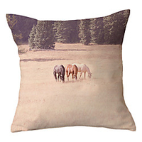 Double Side Cushion Cover 1PC Soft Decorative Square Throw Pillow Cover Cushion Case Pillowcase for Sofa Bedroom Superior Quality Machine Washable miniinthebox