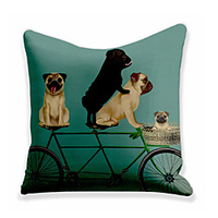 Double Side Cushion Cover 1PC Soft Decorative Square Throw Pillow Cover Cushion Case Pillowcase for Sofa Bedroom Superior Quality Machine Washable miniinthebox