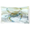 Double Side Cushion Cover 1PC Soft Decorative Square Throw Pillow Cover Cushion Case Pillowcase for Sofa Bedroom Superior Quality Machine Washable miniinthebox