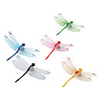 Dragonfly Fridge Magnets with Transparent Wings (5-Piece)