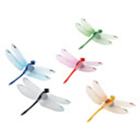Dragonfly Fridge Magnets with Transparent Wings (5-Piece)