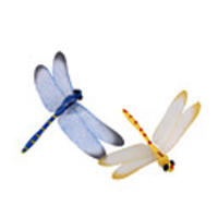 Dragonfly Magnet Decoration Small Size(7591129)