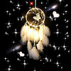 Dream Catcher Handmade Feather Bead Party Festival Hanging Decoration Ornament Gift Home Room Girl DIY Crafts Accessories