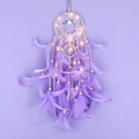 Dreamcatcher - Feather Bohemia 1 pcs Wall Decorations