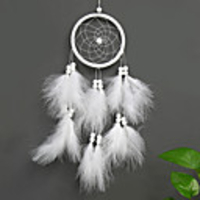 Dreamcatcher - Feather Vintage 1 pcs Wall Decorations