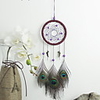 Dreamcatcher - Feather Vintage 1 pcs Wall Decorations