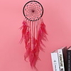 Dreamcatcher - Feather Vintage 1 pcs Wall Decorations