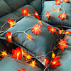 DRXENN 3m String Lights 20 LEDs 1pc Warm White Thanksgiving Day Christmas Party Decorative Holiday AA Batteries Powered