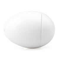 Egg Shape Metal Oil Lighter - White