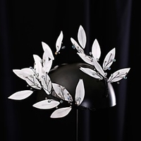 Elegant Bridal Rustless Iron Headdress with Rhinestone 1 Piece Wedding / Special Occasion Headpiece